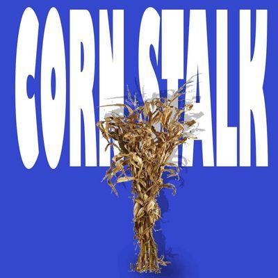 Corn Stalk For Sale