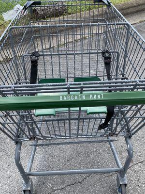 Unattended shopping cart that went rogue.