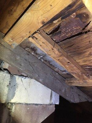 Attics are often overlooked in a typical home inspection. Make sure your inspector goes into the attic.