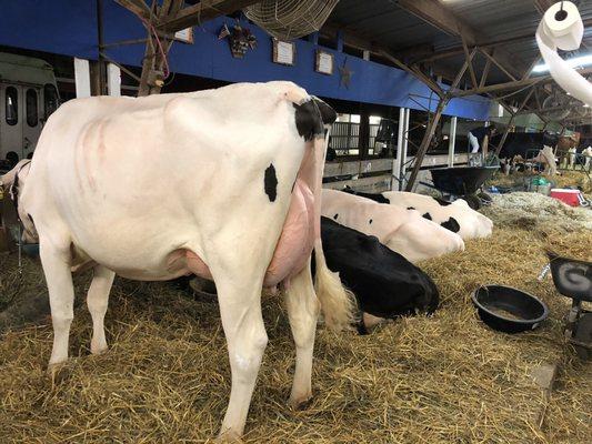 Huntingdon County Fair Assn