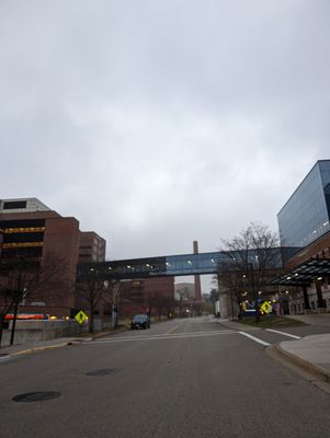 Skywalk between Mayo and Gonda buildings