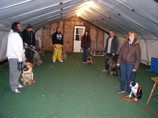 Group classes help socialize your dog.