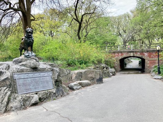 He's next to a pretty arch! Balto photo taken 04/27/21