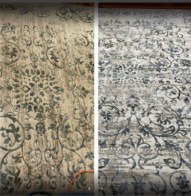 Area rugs brought back to life. Area rug cleaning before & after