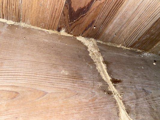 Termite mud tube in the crawl space of a house.