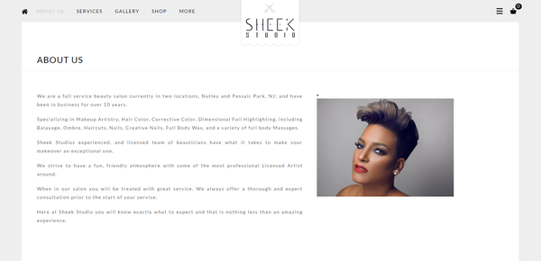 IRCSSTUDIO | Sheek Studio Website Design