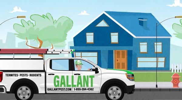 Give our Gallant animated video  a look  on our Gallantpestcontrol Instagram!