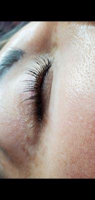 Lash Lift