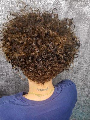 Natural Hair - Roland Conyers Hair at Barbers 4 Days Salon in Marietta Georgia