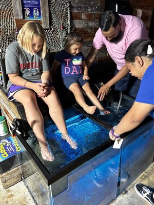 Minnow pedicures tank!