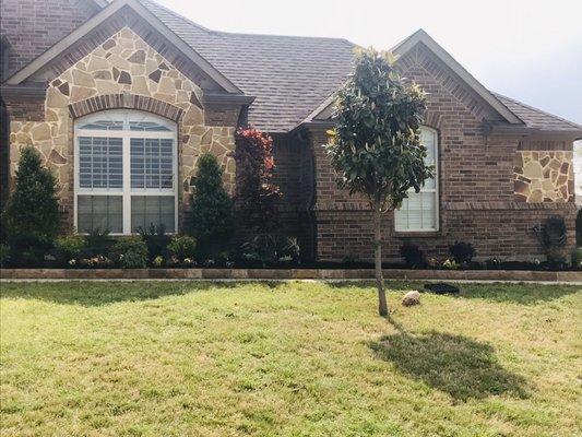 Complete install with stone border