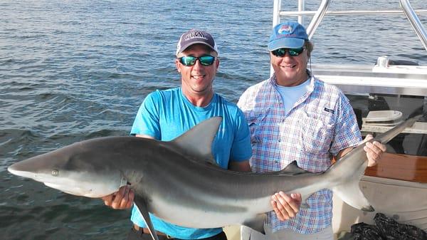 Madera Beach Shark Fishing