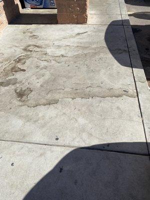 Just one of the nasty sidewalks. Ever heard of a power washer?