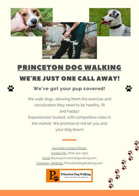 Princeton Dog Walking