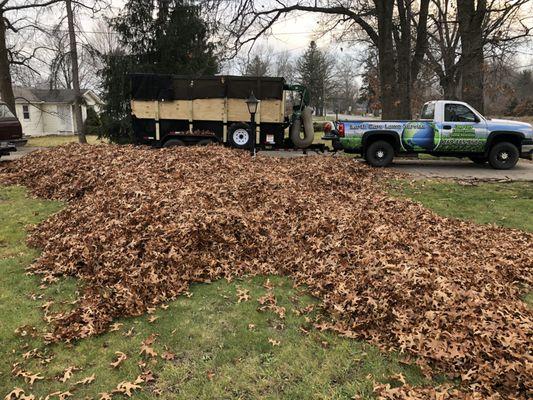 Earth Care Lawn Service