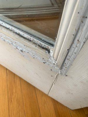 Wet Caulk on door