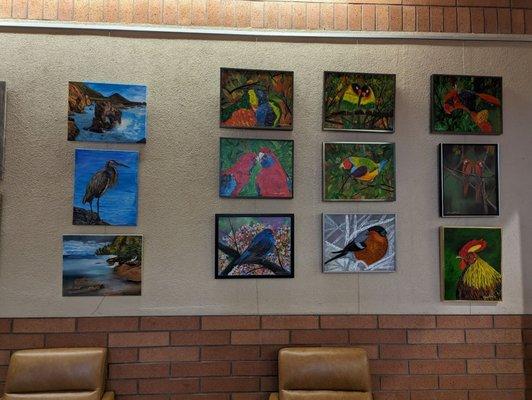 Display of bird paintings