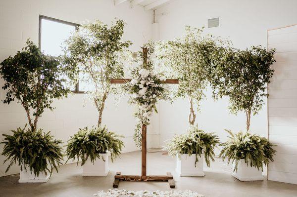 Trees, ferns, and white planters from San Diego Interior Foliage