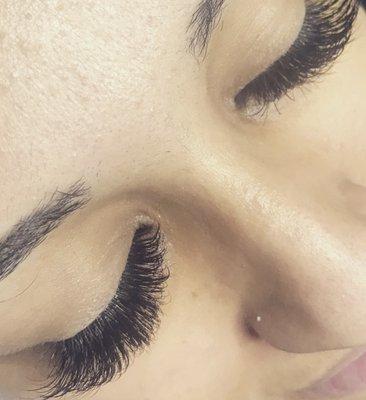 Volume lashes