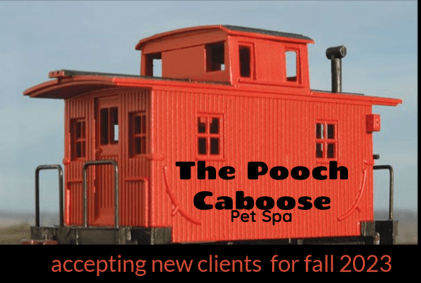 The Pooch Caboose Pet Spa