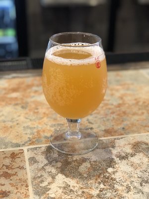 Blood Orange Beer