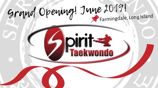 Spirit Taekwondo - Farmingdale