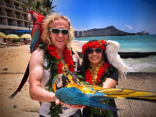 Parrots in paradise!