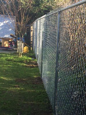 Chain link Fence