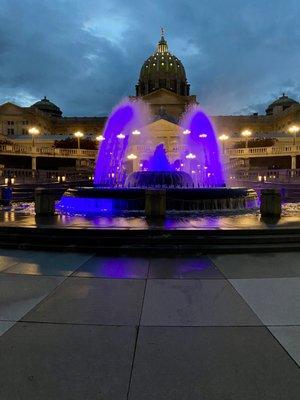 Fountain lights