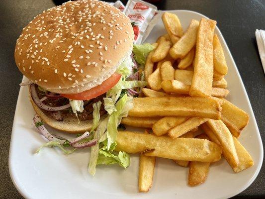 Mediterranean Burger with Fries!