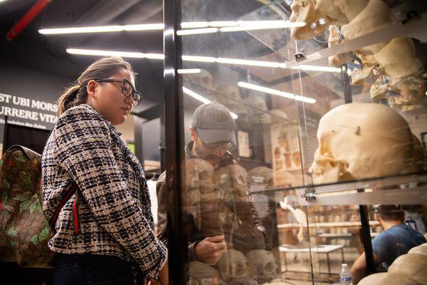 Captivated by an array of skulls, a guest at The Bone Museum stands in contemplation before the curated case. Each skull tells a unique tale