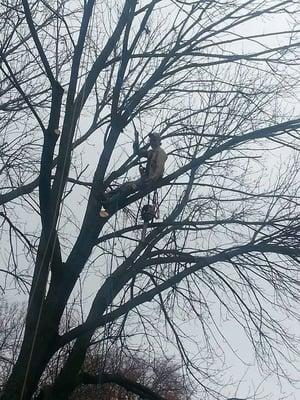 Votaw Tree Service