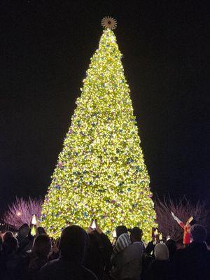 12.4.23 ~ Tree Lighting