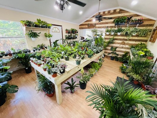 Indoor plant room