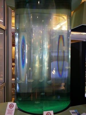 Jellyfish Tank