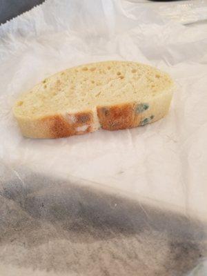 Moldy bread