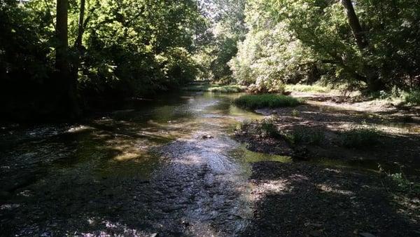 Past Auction  Water Front Home Wooded Acreage.