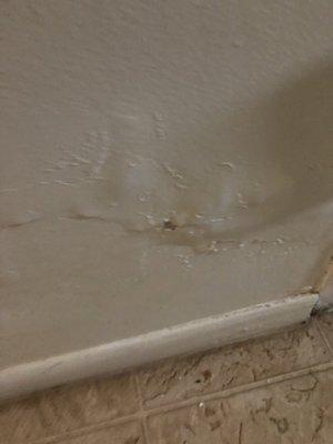 Water damage outside the apartment in the hallway.