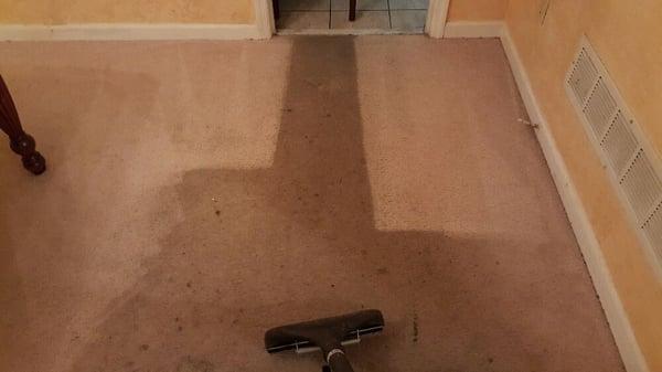 Before and after of Steam Doc Carpet Cleaning.