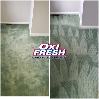 Green Carpet Cleaning before and after photo in O'Fallon.