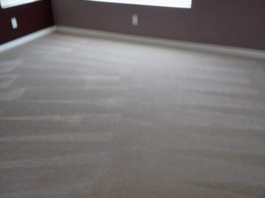 carpet cleaner cape Canaveral fl