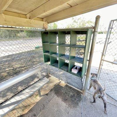 Dugout