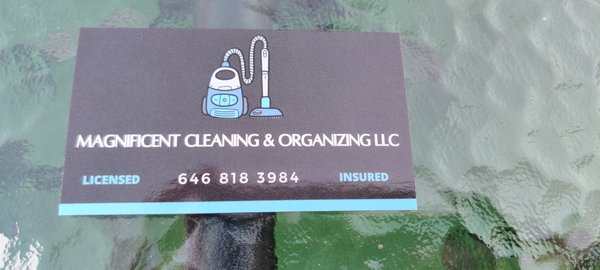 Magnificent Cleaning & Organizing LLC