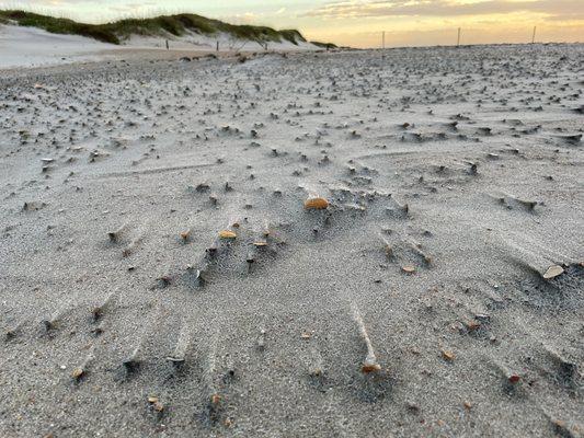 Sunrise meditation on the beach