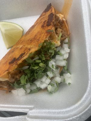 Birria taco