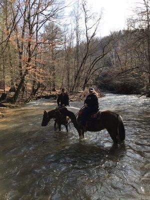 Getting a drink for our horses