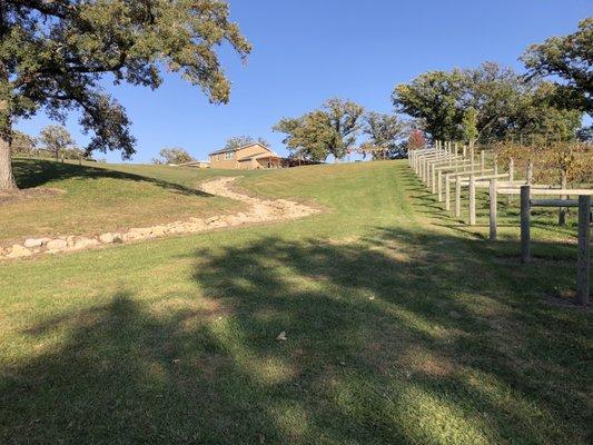 View from the fire circle.