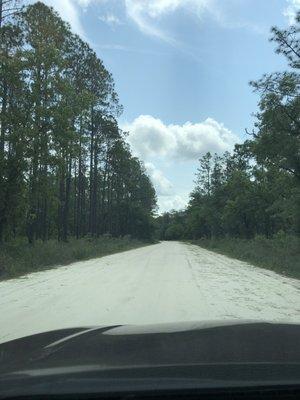 Unpaved road leading to gun range.