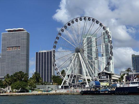 Downtown Miami cruise