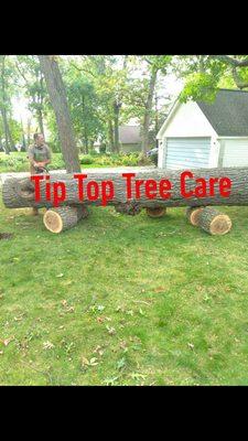 Tip Top Tree Care